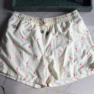 Flamingo Print Women's Shorts